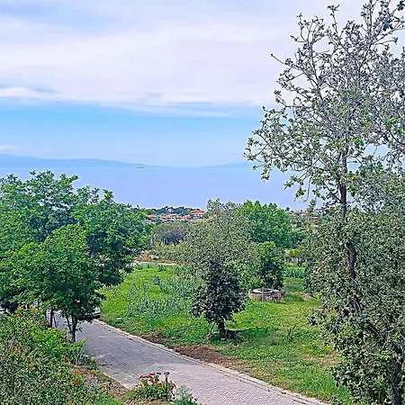 Gorgeous In With House Sea View Διαμέρισμα Ricadi